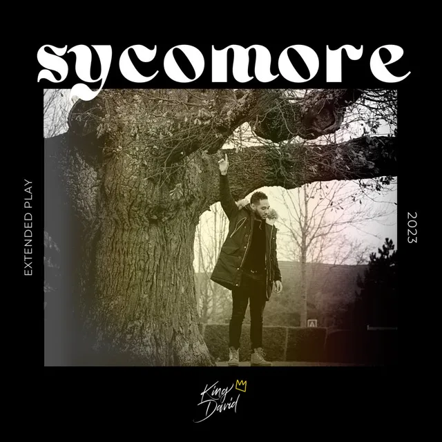 SYCOMORE