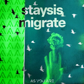 Migrate by Staysis