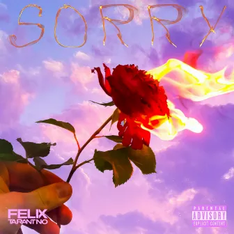 Sorry by Felix Tarantino