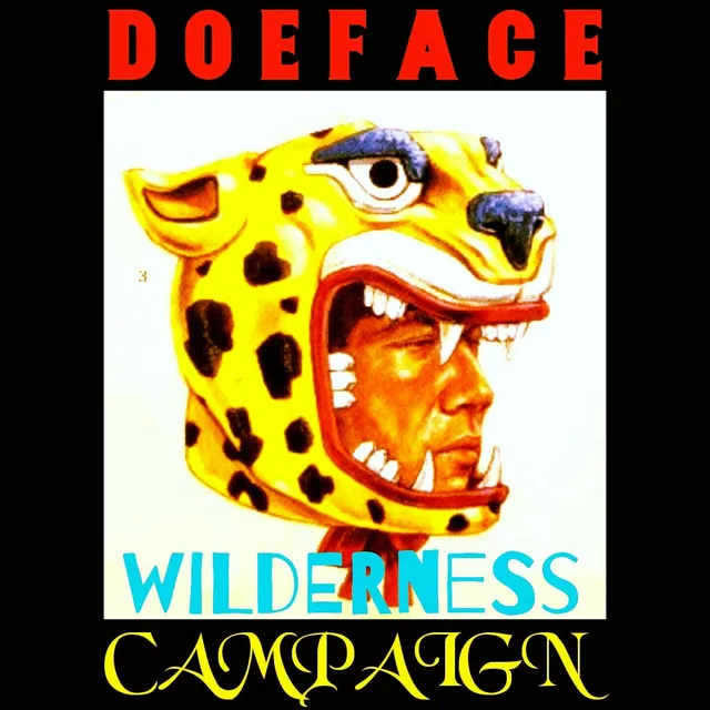 Wilderness Campaign