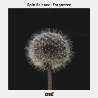 Forgotten by Spin Science