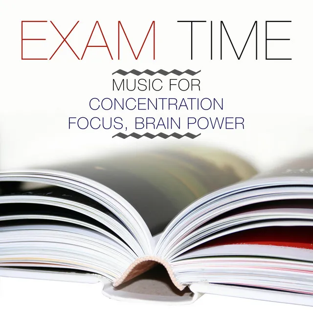 Exam Time - Disconnect from the Outside World, Focus your Energies, Enhance your Concentration and Increase your Mind Power with our New Age Relaxing Study Music