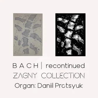 В А С Н Recontinued Zagny Collection by Sergei Zagny