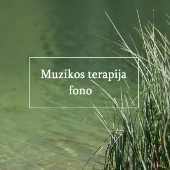 Muzikos terapija fono by Background music for work