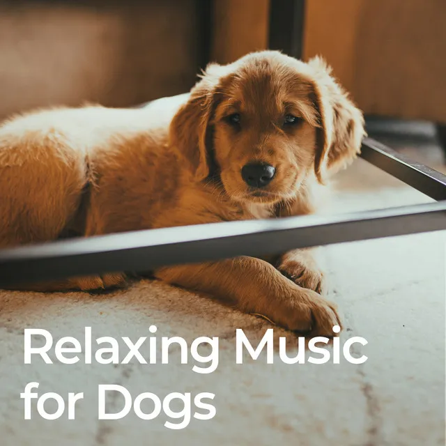 Relaxing Music for Dogs (Gentle for Dog Ears)