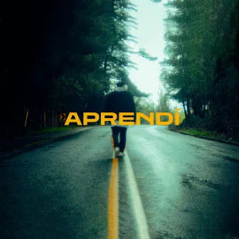 Aprendí by Drinkin