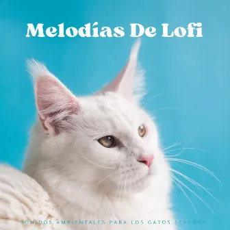 Melodías De Lofi: Sonidos Ambientales Para Los Gatos Serenos by Relaja a mi gato