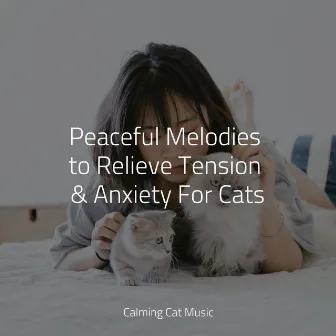 Peaceful Melodies to Relieve Tension & Anxiety For Cats by Music For Cats