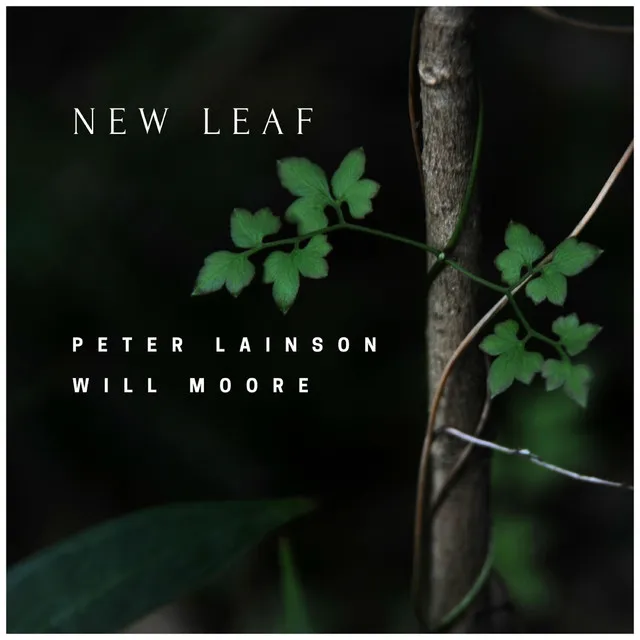 New Leaf