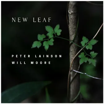 New Leaf by Peter Lainson