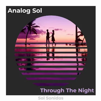 Through The Night by Analog Sol