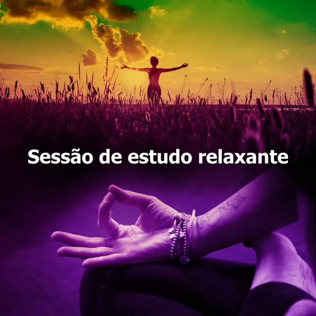 Sessão de estudo relaxante