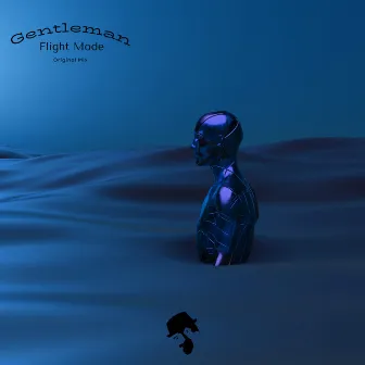 Flight Mode by Gentleman (DJ)