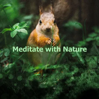 Meditate with Nature by Harmony Nature Sounds Academy