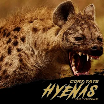 Hyenas by Cory Tate