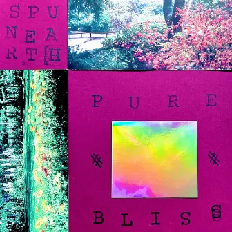 Pure Bliss by Spun Earth