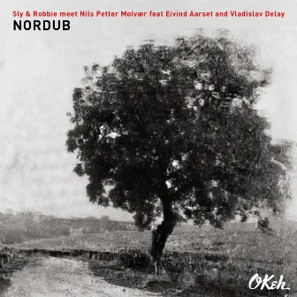 Nordub (feat. Eivind Aarset & Vladislav Delay) by Nils Petter Molvær