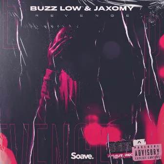 Revenge by Buzz Low