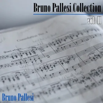 Bruno Pallesi collection, Vol. II by Bruno Pallesi