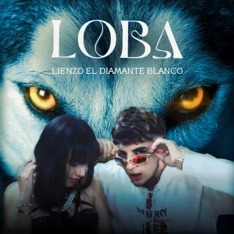 Loba by LIENZO 