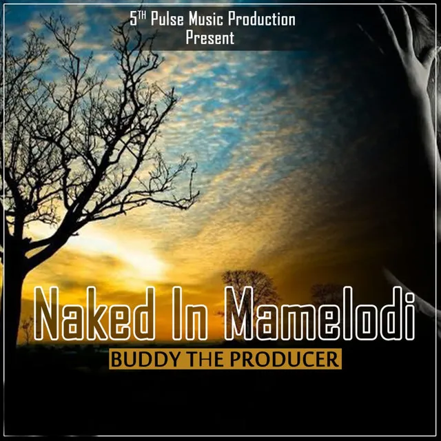 Naked in Mamelodi