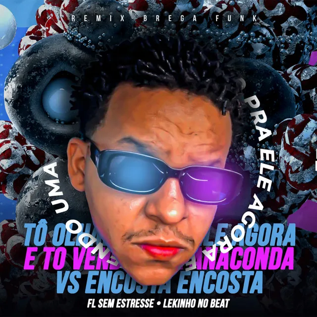 Tou Olhando Ele Agora e Tô Vendo uma Anaconda Vs Encosta Encosta (Remix Brega Funk)