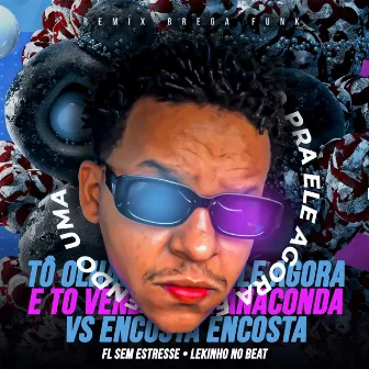 Tou Olhando Ele Agora e Tô Vendo uma Anaconda Vs Encosta Encosta (Remix Brega Funk) by Fl Sem Estresse