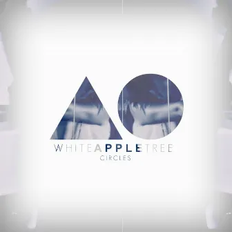 Circles by White Apple Tree