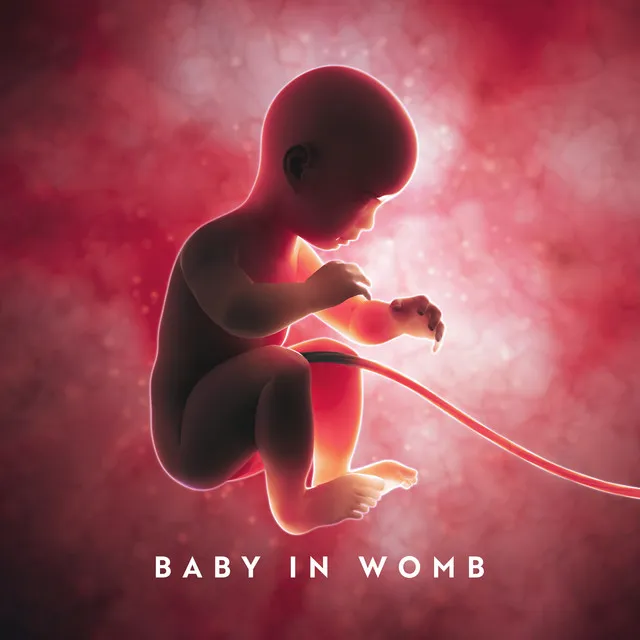 Baby In Womb: Music Dedicated To The Proper Development Of The Foetus