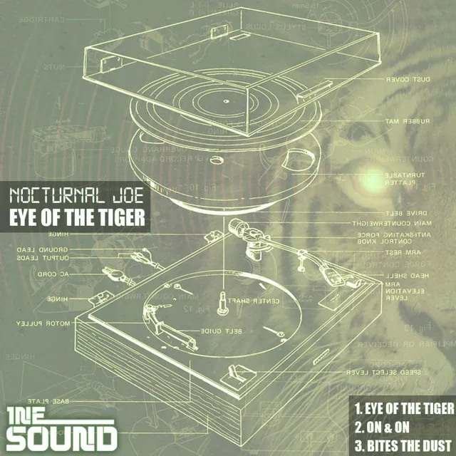 Eye of the tiger - Original Mix