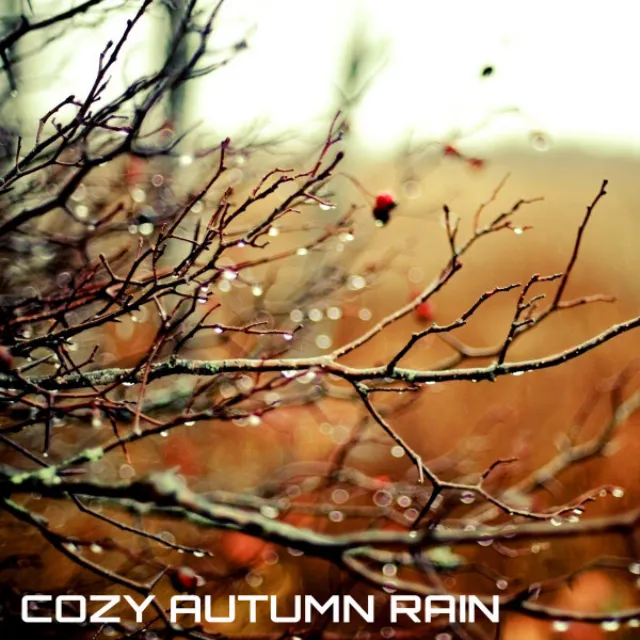 Cozy Autumn Rain