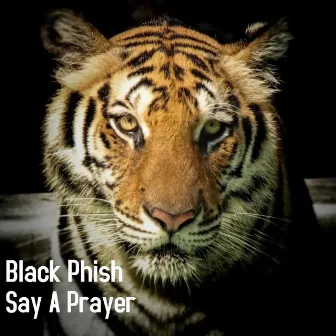 Say a Prayer by Black Phish