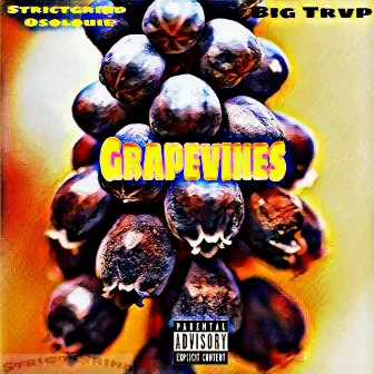 Grapevines by Strictgrind osolouie