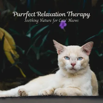 Purrfect Relaxation Therapy: Soothing Nature for Cats' Meows by Soothing Nature Sound