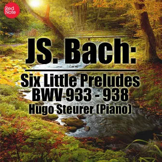 Bach: Six Little Preludes, BWV 933 - 938 by Hugo Steurer