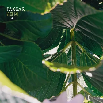 Vegetal by Fakear