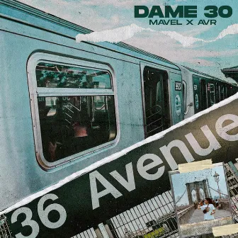 Dame 30 by AVR