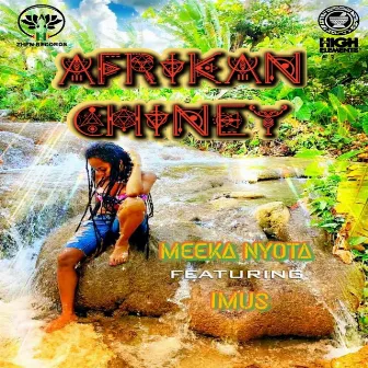 Afrikan Chiney by Meeka Nyota