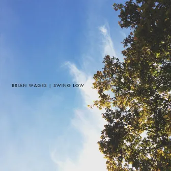 Swing Low by Brian Wages