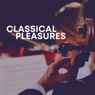 Classical Pleasures by Christopher Williams