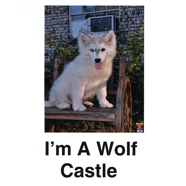 I'm a Wolf