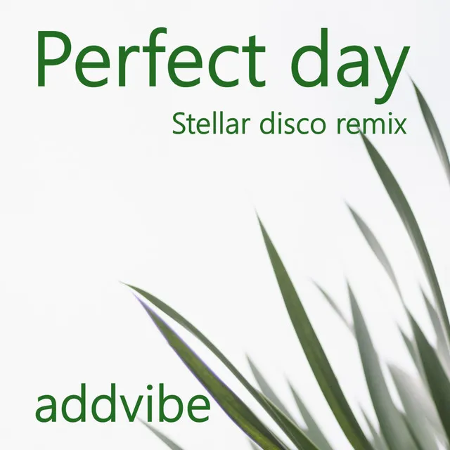 Perfect Day - Stellar Disco Remix