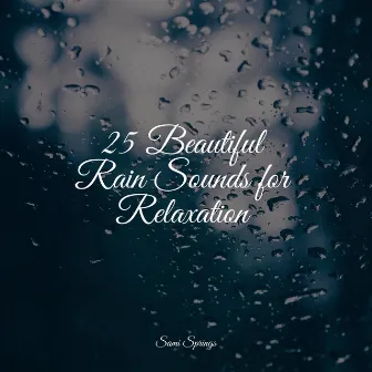 25 Beautiful Rain Sounds for Relaxation by Unknown Artist