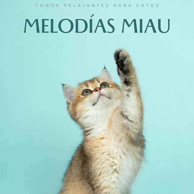 Melodías Miau: Tonos Relajantes Para Gatos