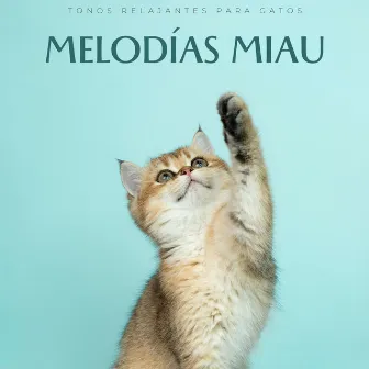 Melodías Miau: Tonos Relajantes Para Gatos by Gato dormido