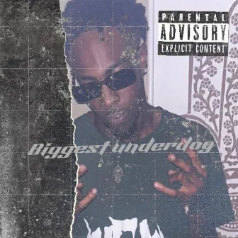 The Biggest underdog by Hb.Sani