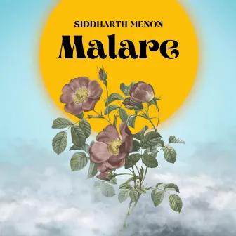 Malare by Siddharth Menon