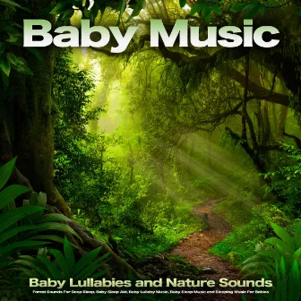 Baby Music: Baby Lullabies and Nature Sounds, Forest Sounds For Deep Sleep, Baby Sleep Aid, Baby Lullaby Music, Baby Sleep Music and Sleeping Music For Babies by Baby Bedtime Lullaby