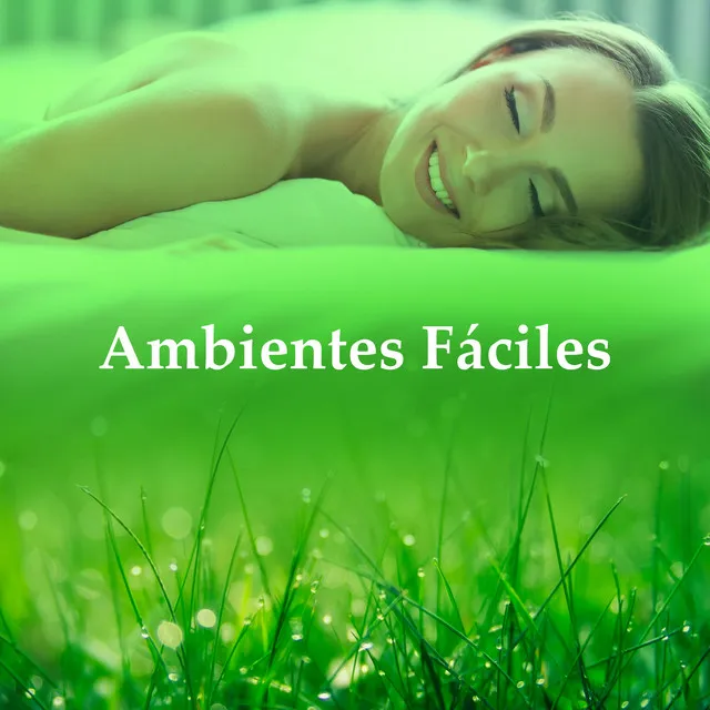 Ambientes Fáciles