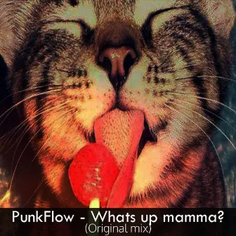 Whats Up Mama by PunkFlow